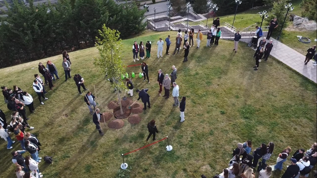 1698395005-Screenshot _16_.png